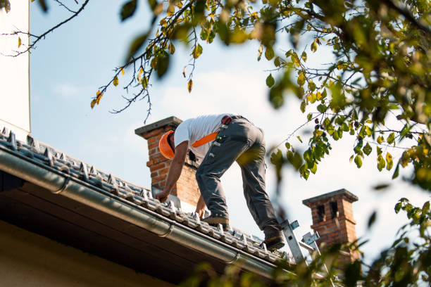 Best Roof Ventilation Installation  in St Leon, IN